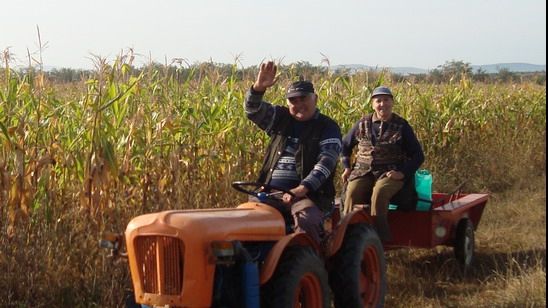 Semnal de alarmă. Expunerea fermierilor la ultraviolete, o problemă majoră