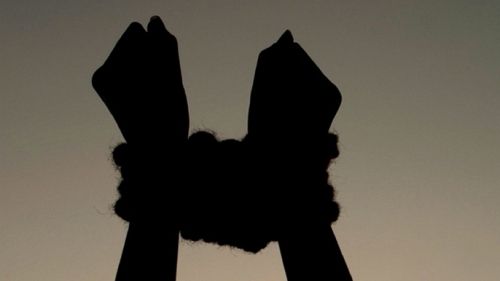 TERIFIANT. Menajeră româncă, ŢINUTĂ PRIZONIERĂ într-o casă în Italia, alături de 26 de câini