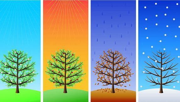 PERSONALITATEA oamenilor, INFLUENŢATĂ DE ANOTIMPUL în care s-au născut - studiu