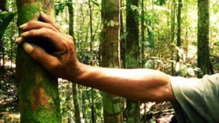 MINUNEA din Arad. Ce a descoperit un bărbat pe lemnele sparte pentru foc 