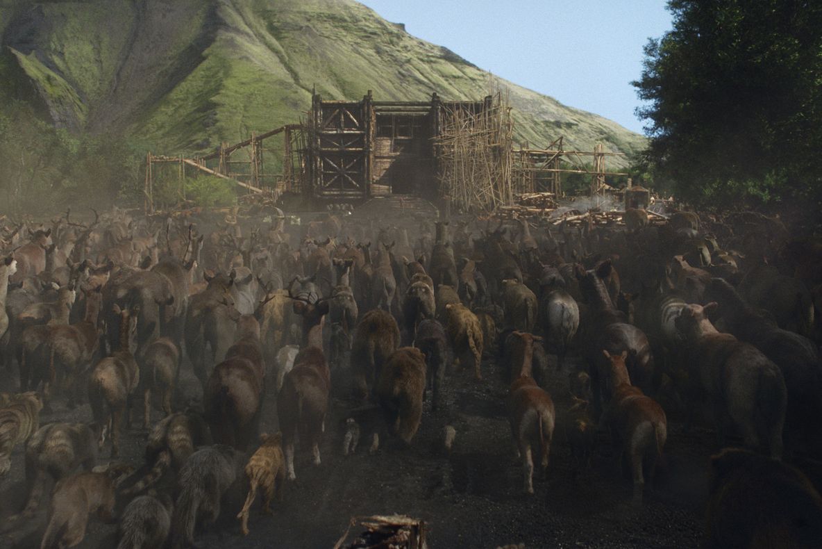 Darren Aronofsky, premiat pentru că nu a folosit animale vii în filmul "Noe"