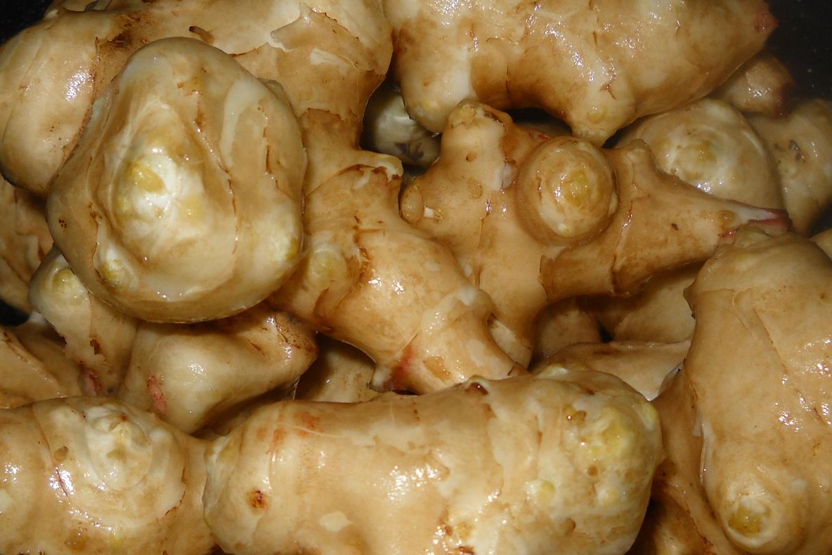 FRESH-REFRESH. Napii, aliment istoric 