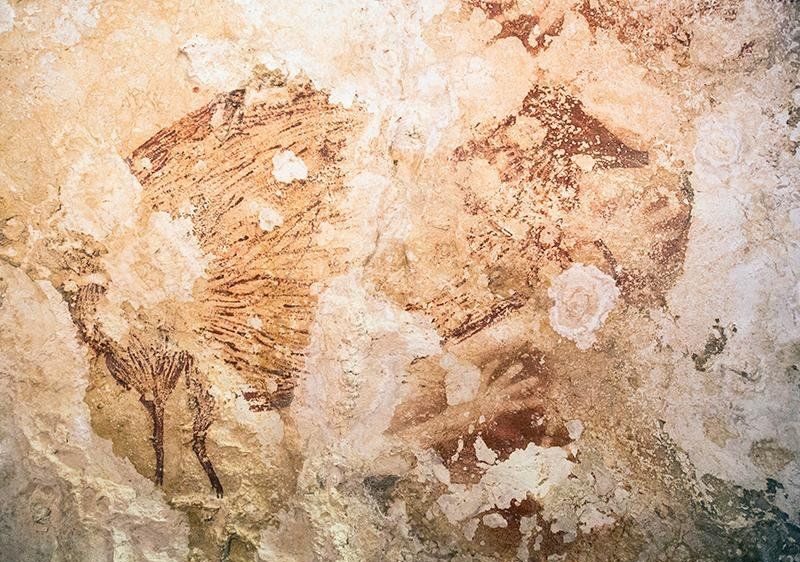 O serie de picturi rupestre vechi de 40.000 de ani rescriu istoria artei