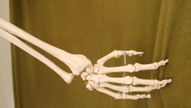 ELEVII dintr-o şcoală din România învaţă anatomie pe SCHELETUL FOSTULUI DIRECTOR 