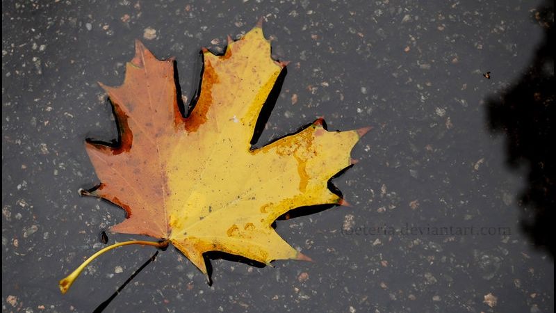 Weekend cu vreme schimbătoare! METEO pe TREI ZILE 