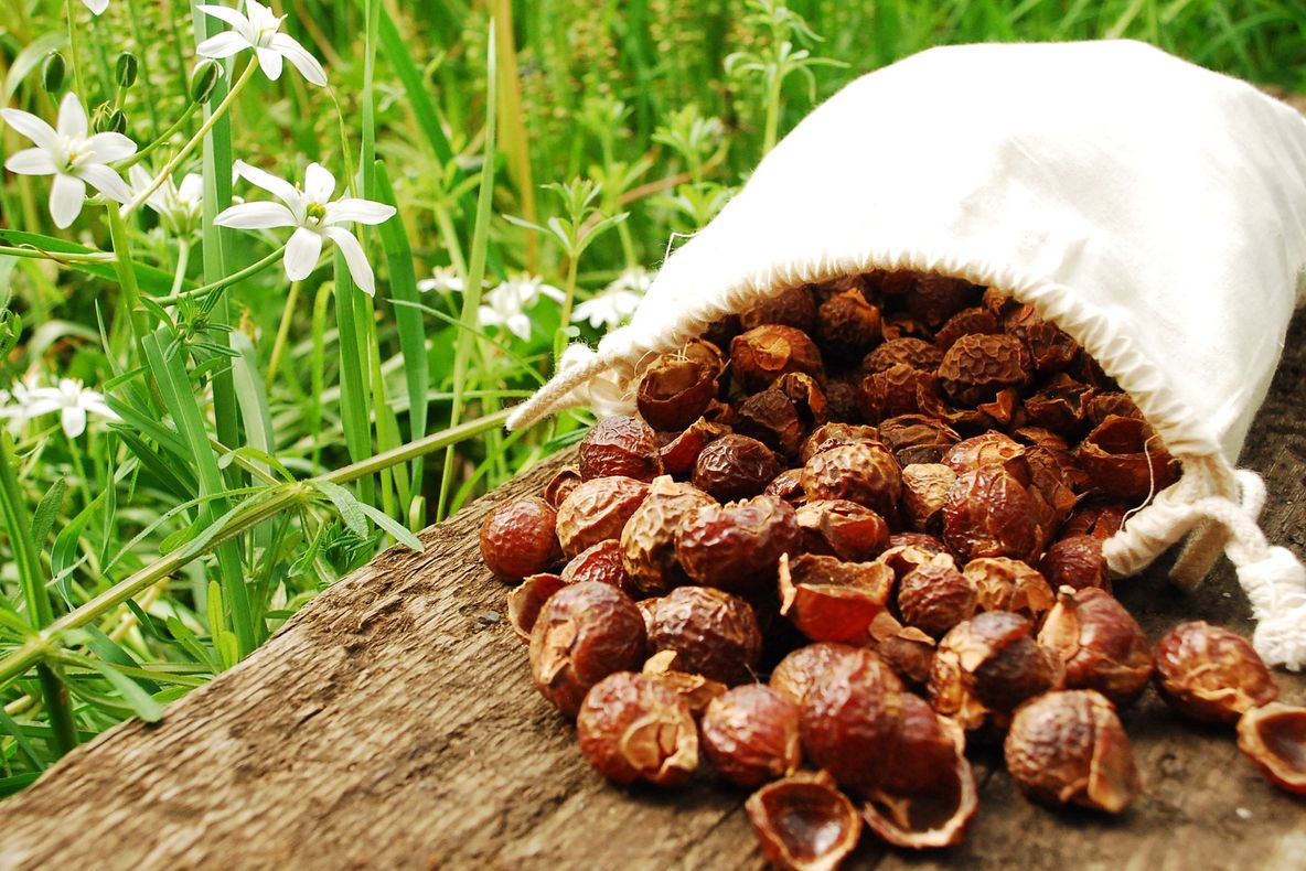FRESH REFRESH. Alternativa BIO la detergent: NUCILE de SĂPUN