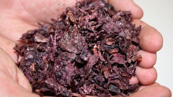 Tinctura miraculoasă de TESCOVINĂ. Este elixirul tinereţii şi antidotul perfect pentru cancer!