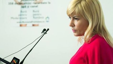 Elena UDREA: Mi se cere SĂ RENUNŢ la candidatură. Nu am nicio legătură cu dosarele MICROSOFT şi EADS