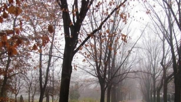 METEO. Cum va fi VREMEA astăzi, în ziua votului DECISIV
