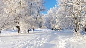 Vine zăpada! Unde va ninge în zilele următoare