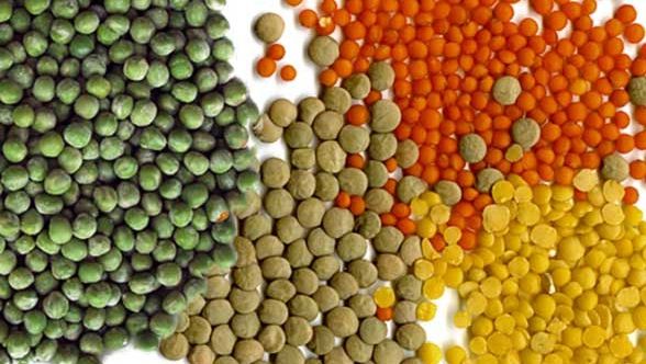 FRESH REFRESH: LINTEA, sursă de energie