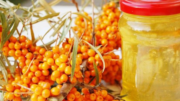 Cum se prepară corect cătina cu miere. Toată lumea face această greşeală