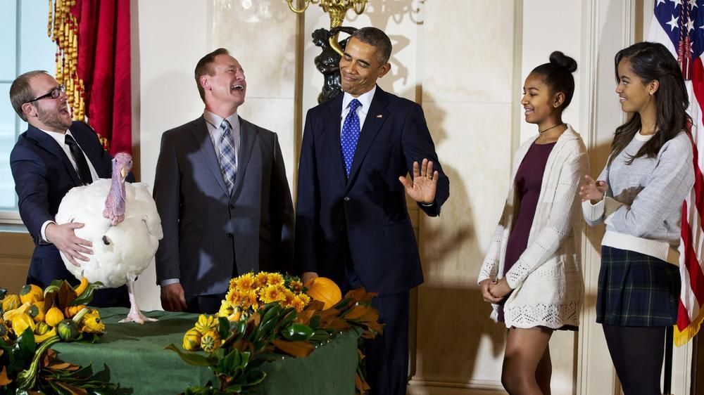 Preşedintele Obama a salvat de la tăiere CURCANII Mac şi Cheese