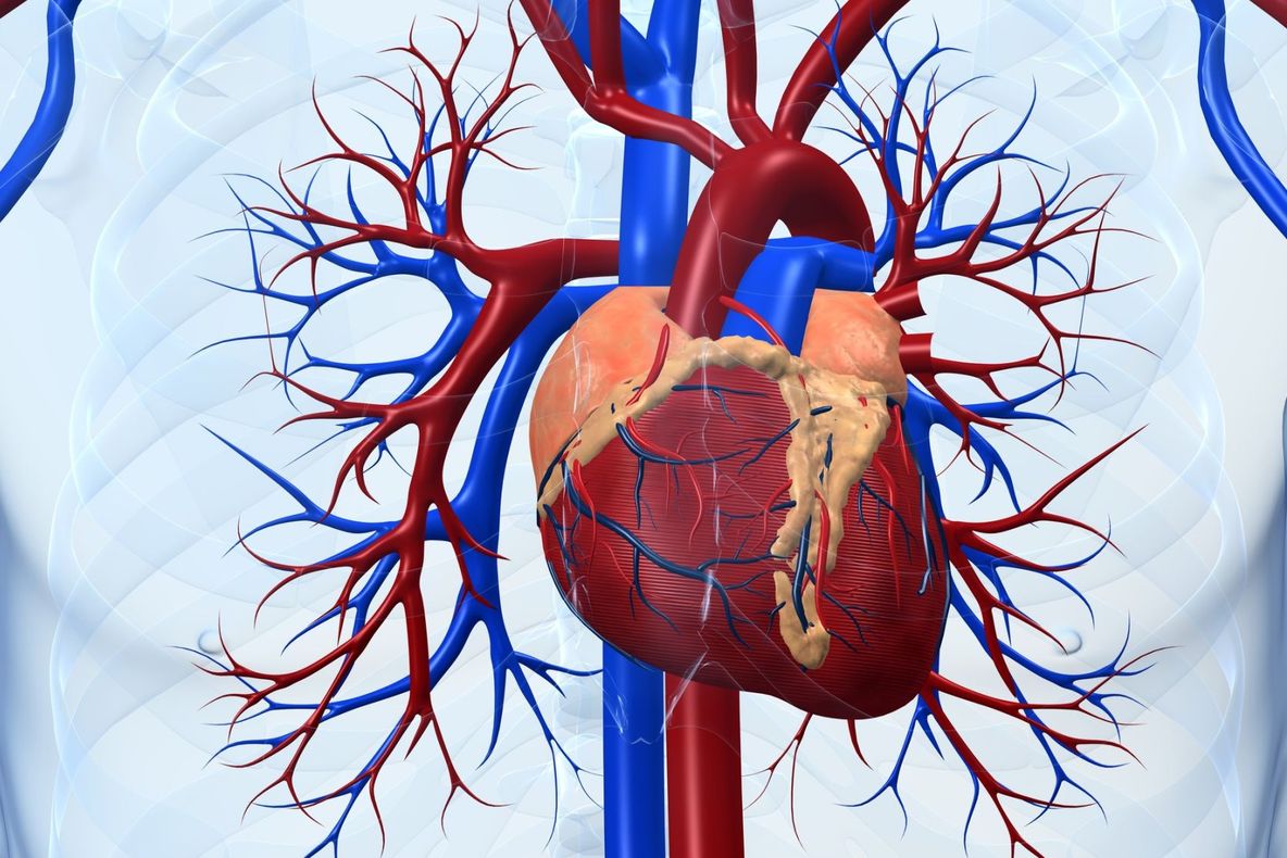 Cei mai periculoși factori care-ți atacă inima