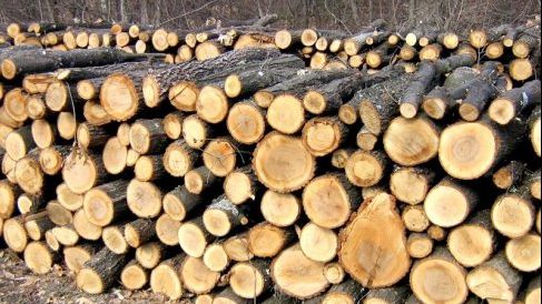 Locuitori din Botoșani refuză LEMNELE date GRATUIT de primărie, pentru că sunt TĂIATE prea GROS