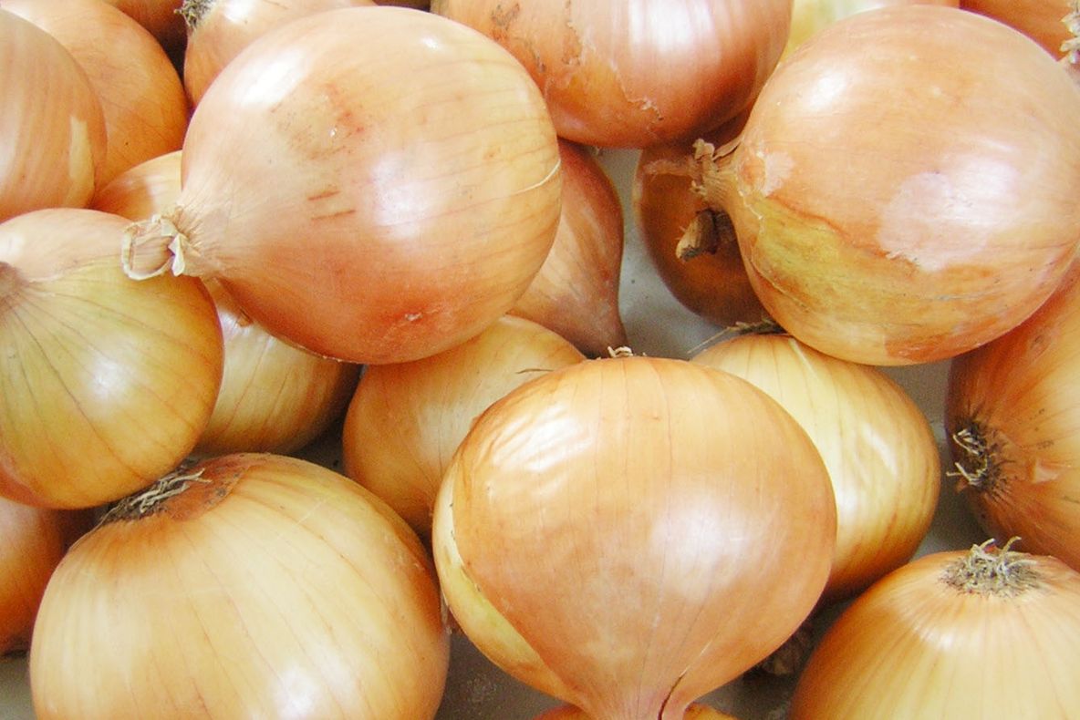 Ceapa stopeaza inmultirea celulelor canceroase