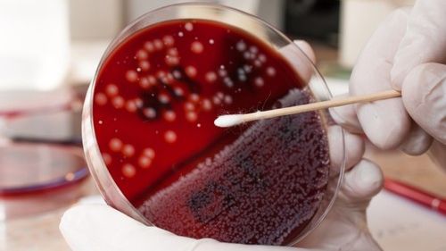 Mituri spulberate despre virusul HPV