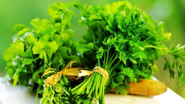 Miracolul din pătrunjel. Beneficii şi întrebuinţări