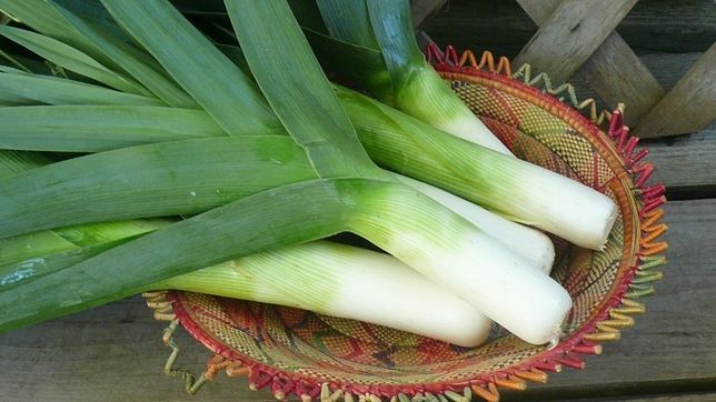 PRAZUL ne DETOXIFICĂ şi luptă împotriva INFECŢIILOR