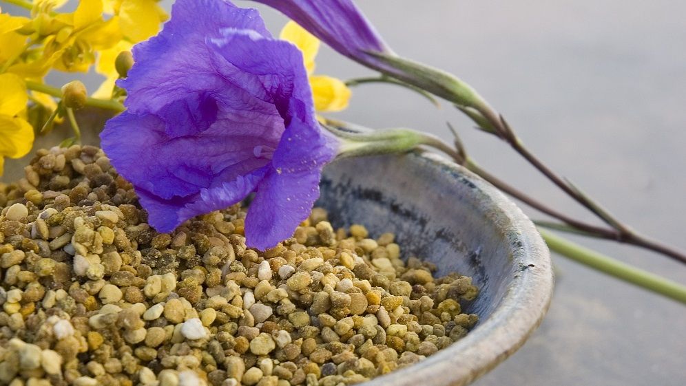 Propolisul face minuni pentru organism. Descoperă ce beneficii are!   