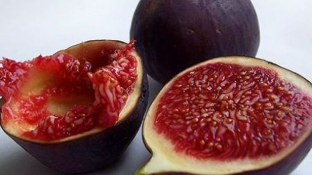 Mănânci SMOCHINE? Uite ce boli grave ar putea cauza