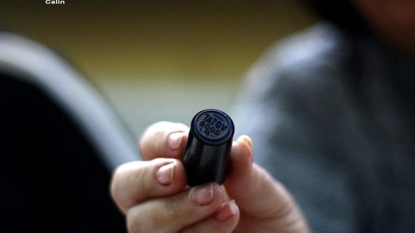 ALEGERI PREZIDENȚIALE 2014. S-a FURAT ȘTAMPILA din secția de vot