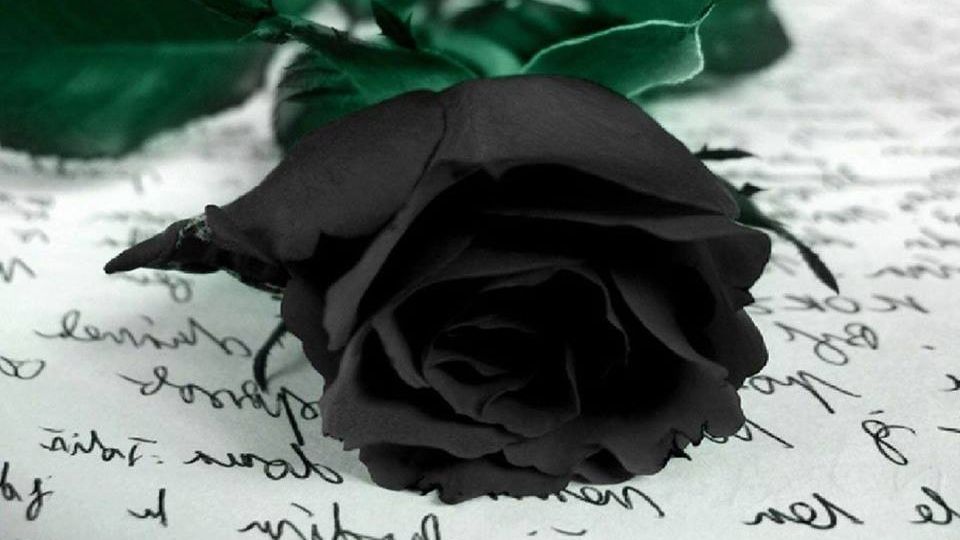 Au murit acum câteva minute! VESTE GROAZNICĂ