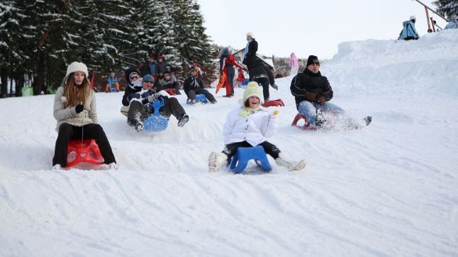 Ce model de săniuţă se potriveşte copilaşului tău