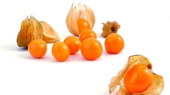 FRESH REFRESH. Physalis, supranumită şi CĂTINA INCAŞILOR. Floarea lampion, plină cu vitamine