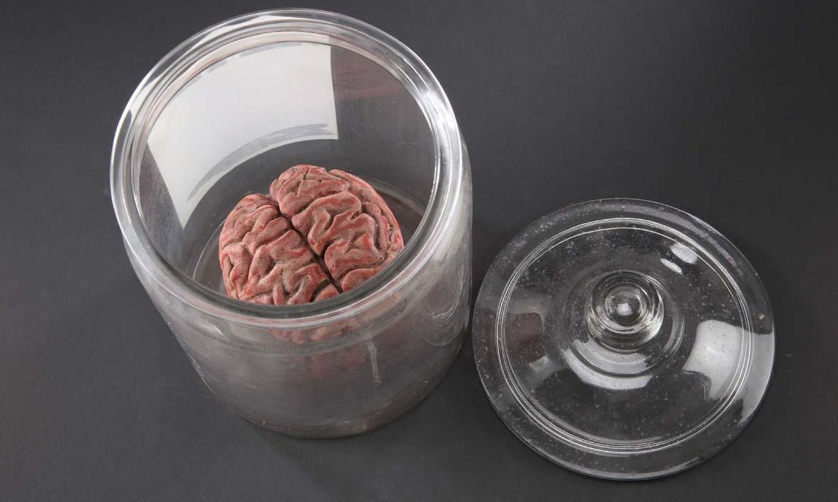 ŞOCANT: 100 de creiere au fost furate dintr-o universitate