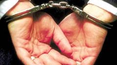 Primarul comunei Udeşti, arestat preventiv pentru fraude cu fonduri europene 