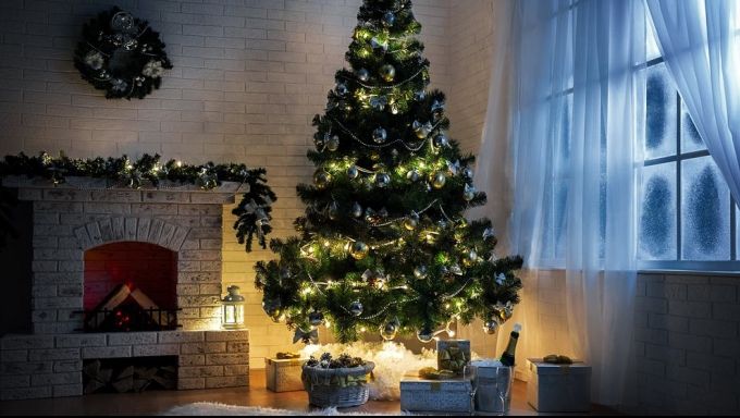 Ce spune bradul tău de Crăciun despre personalitatea ta