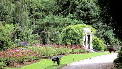 SURPRIZA descoperită în GRĂDINA REGINEI Elisabeta a Marii Britanii,în timp ce se FILMA o emisiune TV