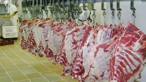 PROTEST în faţa Finaţelor: Sindicaliștii din industria alimentară cer ieftinirea cărnii 