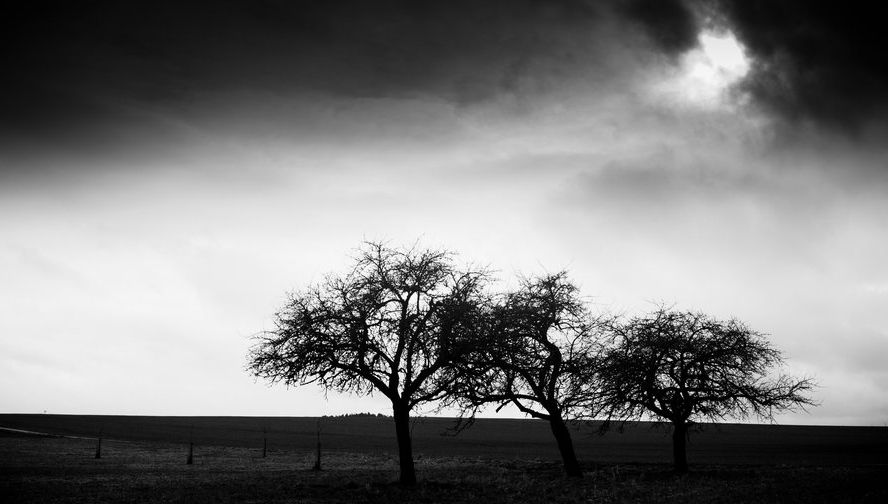 ZILE SUMBRE. O lună de zile fără soare. Cum ne afectează lipsa astrului 