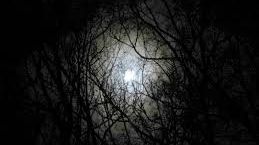 Profeția care dă fiori României: Suntem amenintați de renașterea strigoilor unui trecut întunecat 