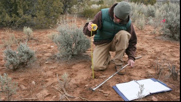 Descoperire incredibilă în Pakistan! Are peste un milion de ani vechime