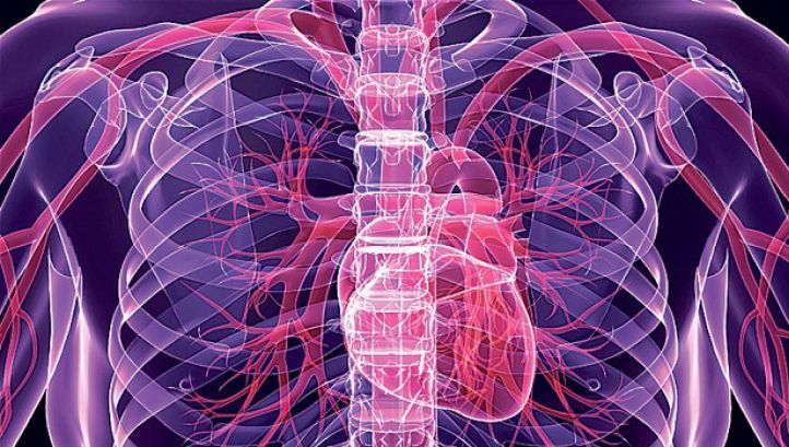 Descoperirea de ULTIMĂ ORĂ care ne poate prelungi viaţa cu PÂNĂ LA 30 DE ANI