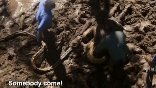 IPOTEZĂ-ŞOC în cazul filmului cu un bărbat ÎNGHIŢIT DE ANCONDA