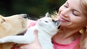 Lucruri NEAŞTEPTATE despre oameni. Ce spun animalele de companie despre ei