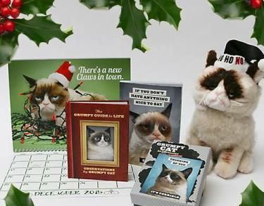 Cum a reușit o pisică să îi aducă stăpânei aproape 100 milioane de dolari 