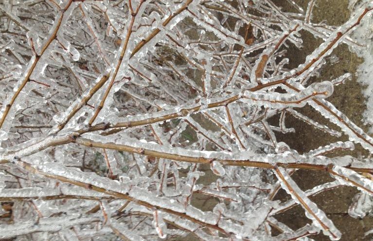 PLOAIA ÎNGHEŢATĂ a făcut PRĂPĂD în România, lângă Zalău - FOTO
