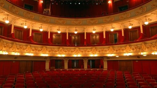 Un deputat PDL iniţiază o lege privind acordarea de VOUCHERE CULTURALE de 125 de lei pentru bugetari