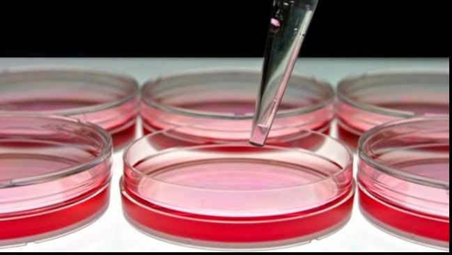 Fresh Refresh. Donează sânge!