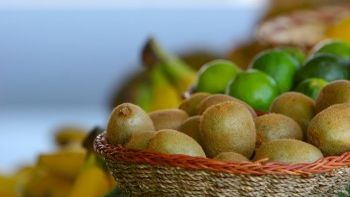 Câte boli vindecă KIWI