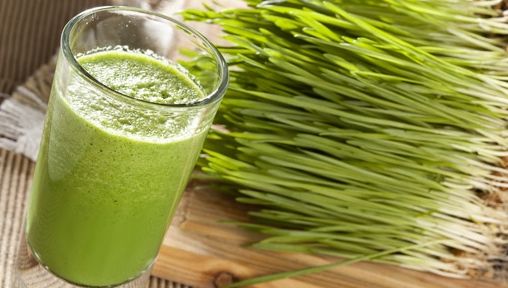 “Sângele verde”, elixirul din iarba de grâu care îţi reface sănătatea
