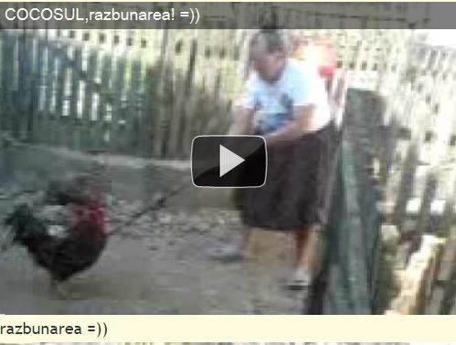 BANCUL ZILEI. Ion merge la piaţă să vândă un cocoş