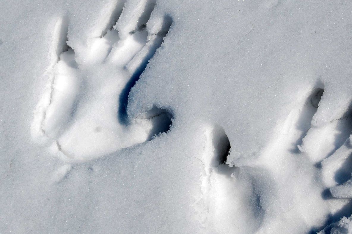 Cum să-ți deszăpezești strada în trei minute. Soluția incredibil de ușoară. VIDEO