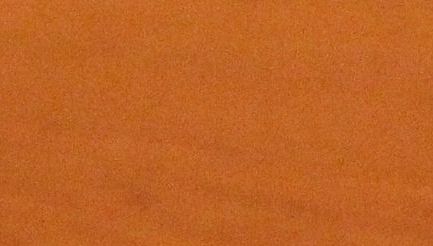 Zgonea, atac la colegi: "Ce partid a sângerat cel mai mult? Noi ne-am asumat lupta anticorupție"