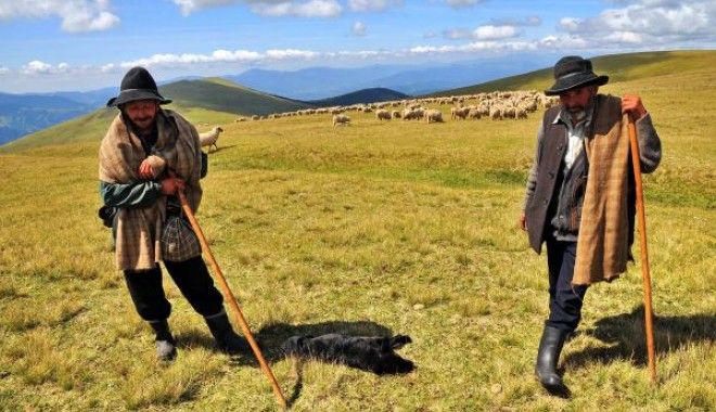 Bancul zilei. "Dau un milion de dolari celui care îmi oferă 100 de orgasme într-o noapte"